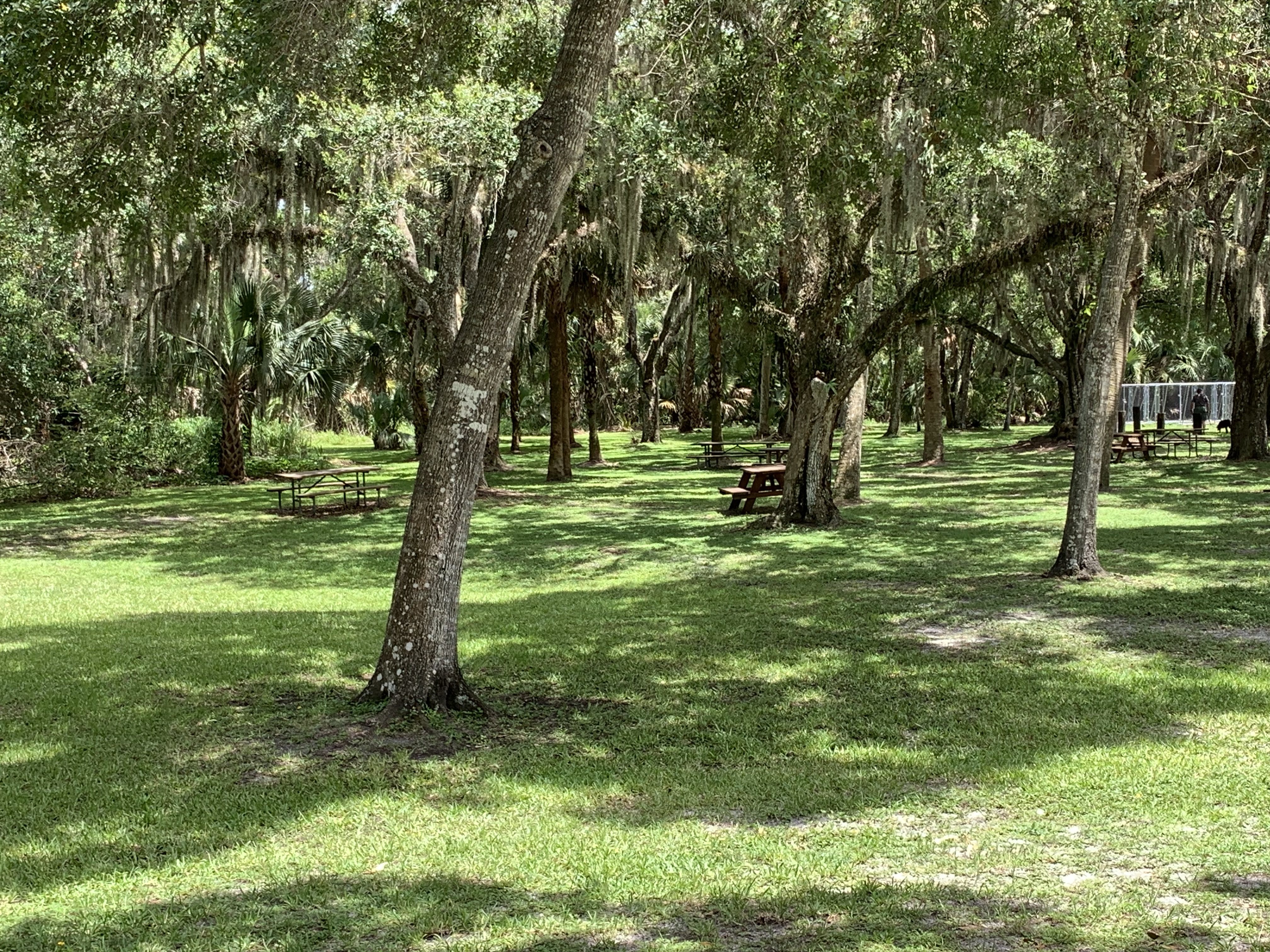 The Comprehensive Plan as Martin County's Constitution
